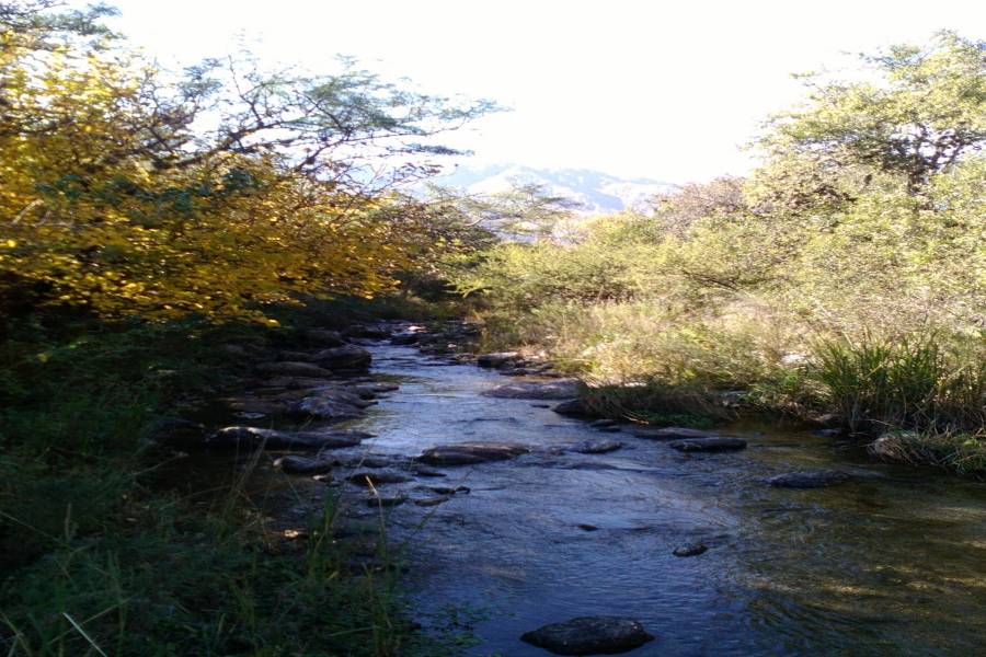 Es de aguas permanentes